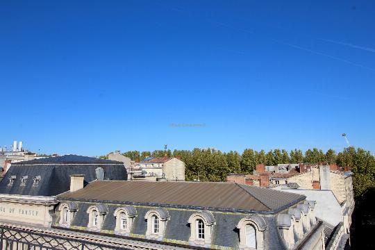 Appartement terrasse Triange d'or 8